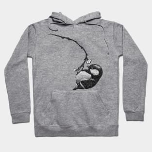 Cute little bird 03 Hoodie